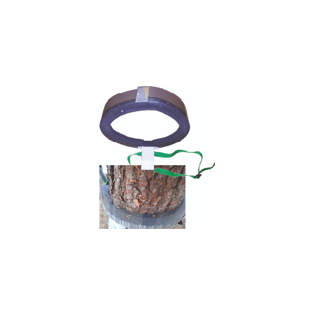 Piège à collier chenilles processionnaires  PROCEREX diamètre maxi 35cm - Unité