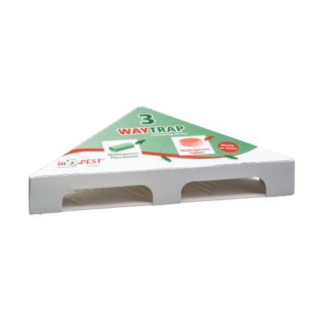 Recharge attractif à glue pour piège 3 WAY TRAP - Blister de 2 unités