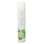 Désodorisant parfum au choix - aérosol 750ml